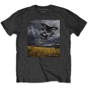 image of David Gilmour - Rattle That Lock Mens Large T-Shirt - Charcoal Grey