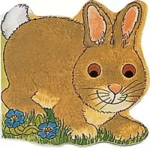 Image of Pocket Bunny by Pam Adams