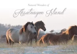 Image of natural wonders of assateague island