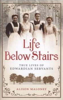 Image of Life below Stairs by Alison Maloney Hardback