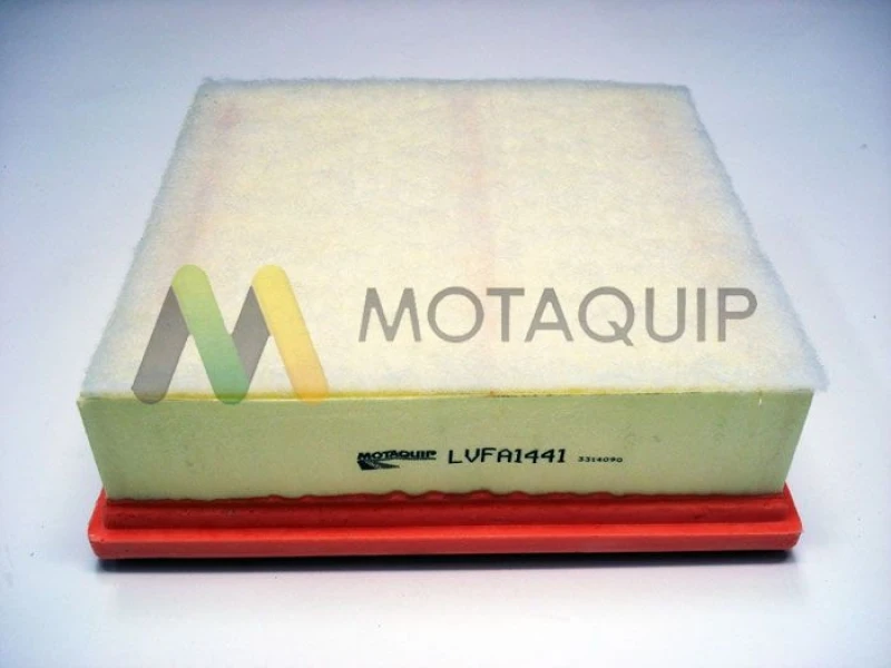 Image of MOTAQUIP Air filter MOTAQUIP LVFA1441