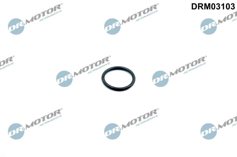 Image of DR.MOTOR AUTOMOTIVE Thermostat housing gasket DR.MOTOR AUTOMOTIVE DRM03103