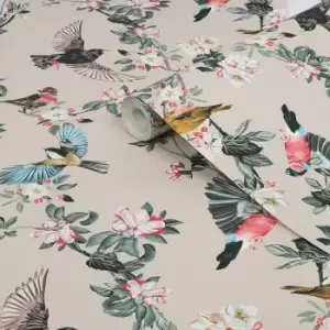 image of Joules Multicolour Garden Birds Smooth Wallpaper