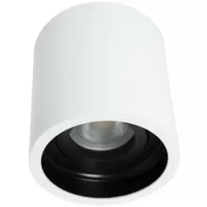 Image of Netlighting Pelite Spot Surface Mounted Downlight Steel Brushed, Inside Black -