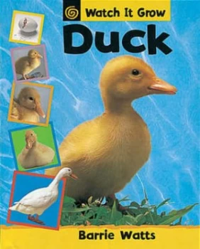 Image of Duck by Barrie Watts Paperback