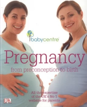 Image of Pregnancy by Hilary Mandleberg Paperback