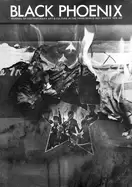 Image of black phoenix third world perspectives on contemporary art and culture