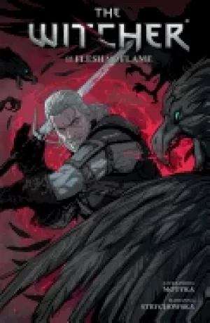 Image of witcher volume 4 of flesh and flame