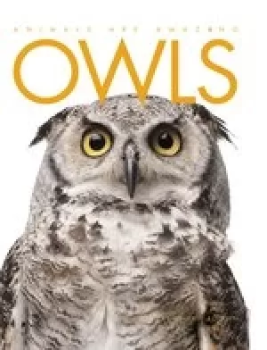 Image of Animals Are Amazing: Owls