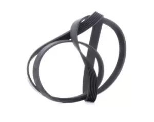 Image of CONTITECH V-ribbed belt OPEL,FORD,FIAT 6PK1670 4861928AA,1612161380,5750RN 5750YH,5750ZV,55218886,6000611039,9658144480,9662806680,1372762,1383663