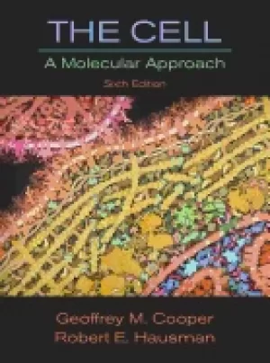 Image of cell a molecular approach sixth edition
