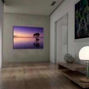 Image of 701002021C-052 Multicolor Decorative Canvas Painting