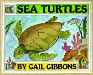 Image of sea turtles