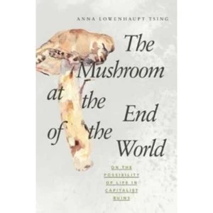 Image of The Mushroom at the End of the World : On the Possibility of Life in Capitalist Ruins