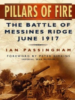 Image of Pillars of Fire by Ian Passingham Hardback