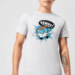 Image of Dexters Lab Genius Mens T-Shirt - Grey - 3XL