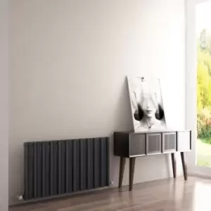 Image of Barkod Horizontal Radiator 550x1010 3208 BTUs Textured Anthracite