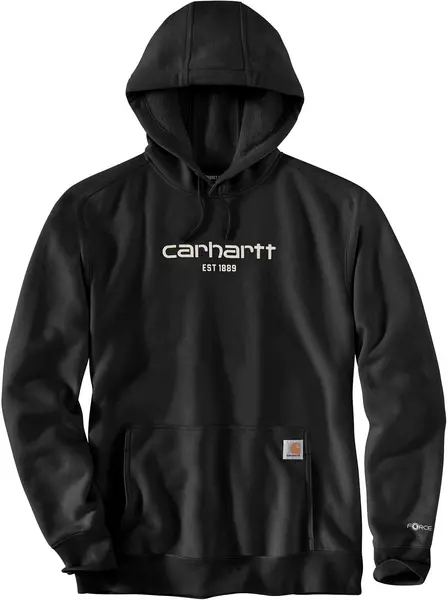 Image of Carhartt Lightweight Logo Graphic Hoodie, black, Size 2XL