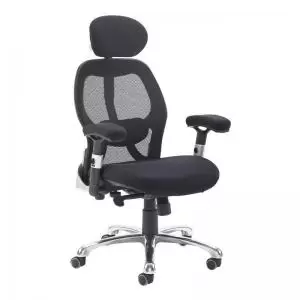 image of Sandro mesh back executive chair with Black air mesh seat and head