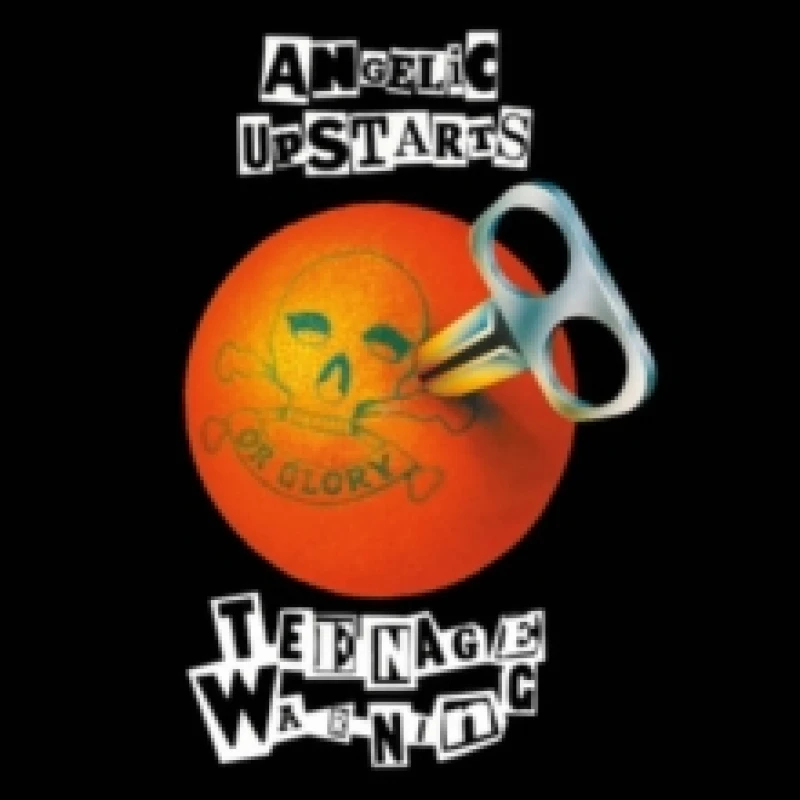 Image of Teenage Warning Vinyl