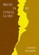 Image of mucus in my pineal gland