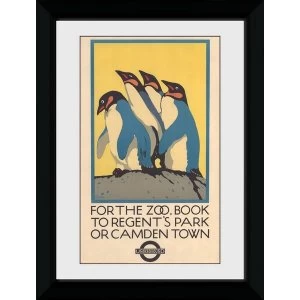 image of Transport For London Zoo 50 x 70 Framed Collector Print