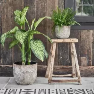 Image of Ivyline Albero Planter - H26Cm X D28Cm