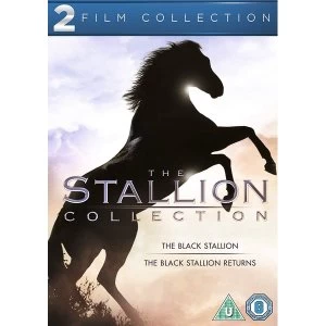 Image of 2 Film Collection - The Black Stallion / The Black Stallion Returns DVD