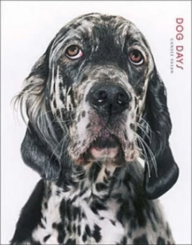 Image of Dog Days by Gandee Vasan Hardback