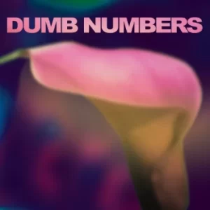 Image of Dumb Numbers &lrm;- Dumb Numbers CD