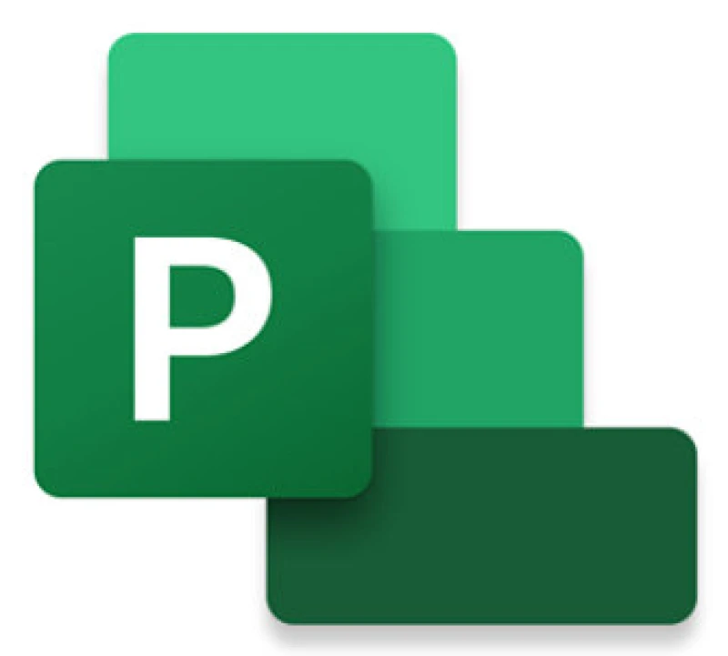 Image of Microsoft Project Professional 2024 Project management Full 1 license(