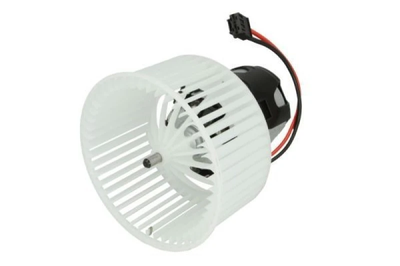 Image of THERMOTEC Blower motor THERMOTEC DDB007TT