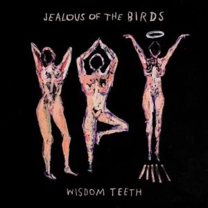 image of Wisdom Teeth by Jealous Of The Birds CD Album