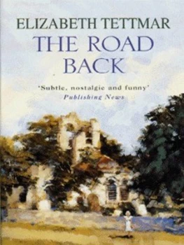 Image of The Road Back by Elizabeth Tettmar Book
