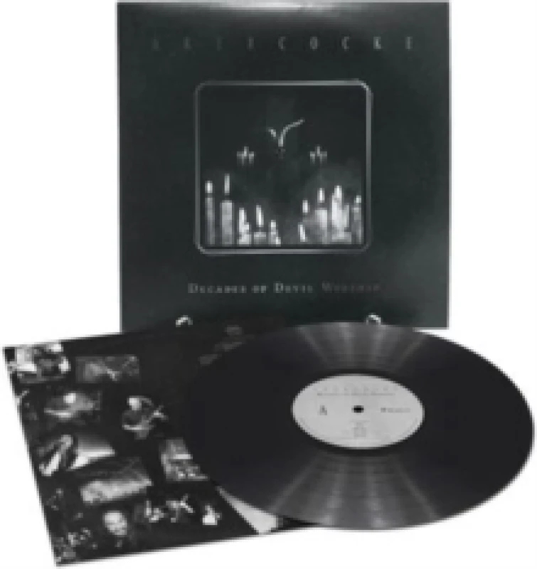 Image of Decades of devil worship Vinyl