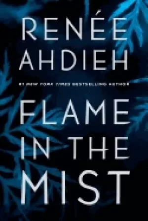 Image of flame in the mist