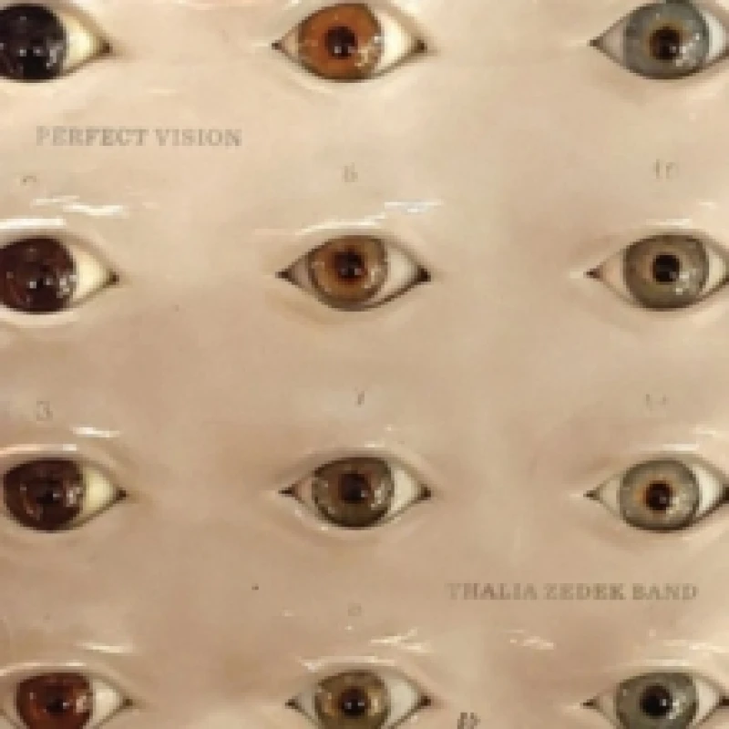 Image of Perfect Vision Vinyl