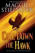 Image of call down the hawk the dreamer trilogy book 1 1