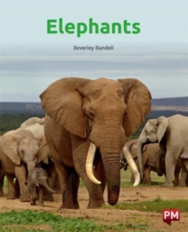 Image of ELEPHANTS Paperback