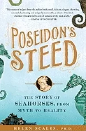 Image of poseidons steed the story of seahorses from myth to reality