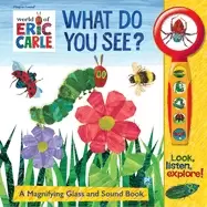 Image of what do you see