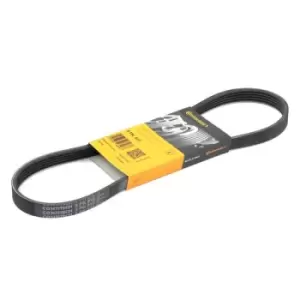 Image of CONTITECH V-ribbed belt BMW,PEUGEOT,CITROEN 5PK813 60566089,11282247425,11284496457 2247425,4496457,64552247425,64557786170,64558593211,7786170,5750R1