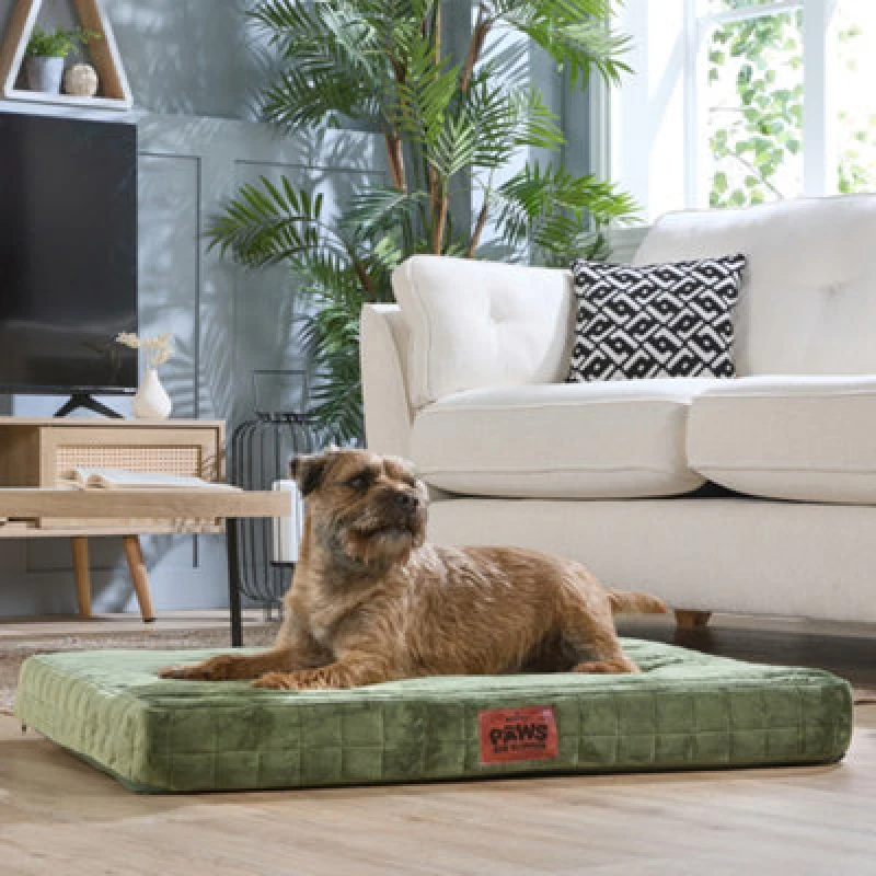 Image of Slumberdown Paws for Slumber Medium Orthopedic Pet Bed Green