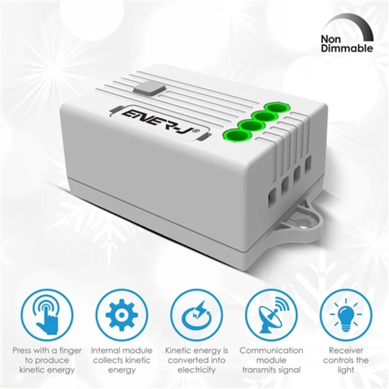 Image of Ener-J 5A Receiver for Non Dimmable Switch 21475AWUK