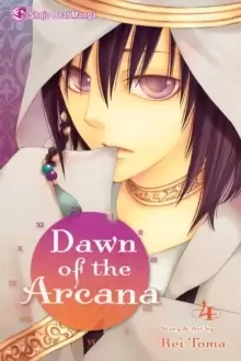 Image of Dawn of the Arcana, Vol. 4