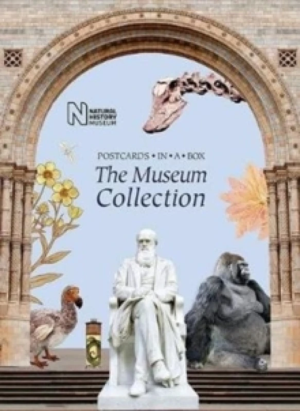 Image of The Museum Collection. Cards Books