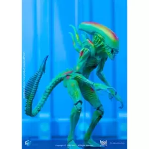 image of HIYA Toys Alien Vs. Predator Exquisite Mini 1/18 Scale Figure - Thermal Vision Alien Warrior