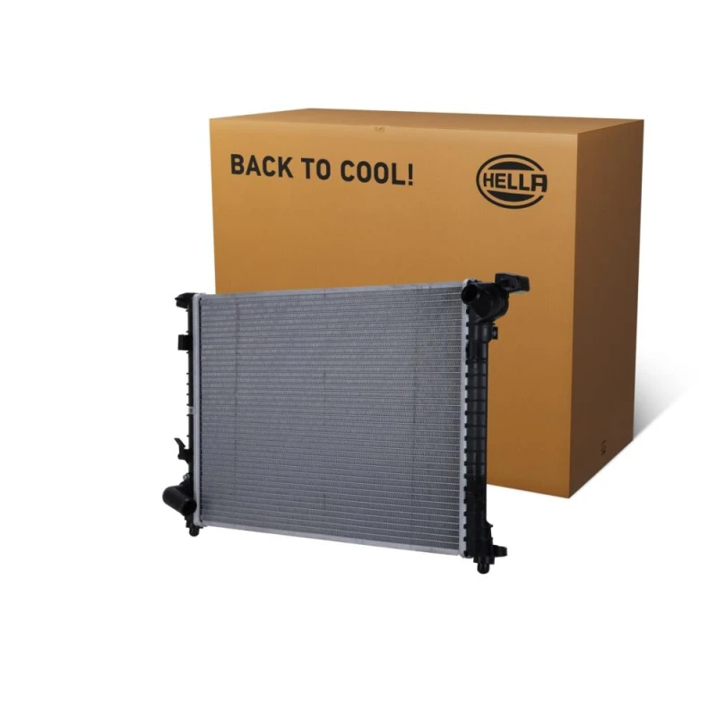 Image of HELLA Engine radiator HELLA 8MK 366 300-541