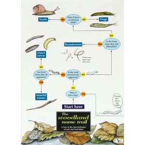 Image of Freshwater Investigations by etc., Richard Orton (Paperback, 1995)