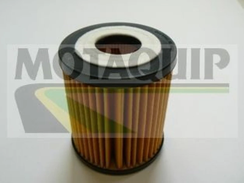 Image of MOTAQUIP Oil filter MOTAQUIP VFL555
